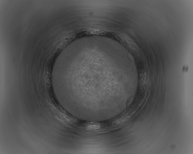 X0000090440653200708031155