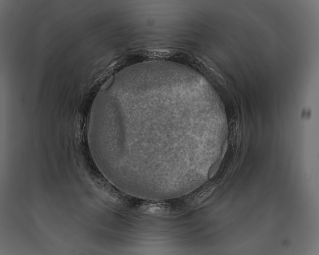 X0000090440655200708031155