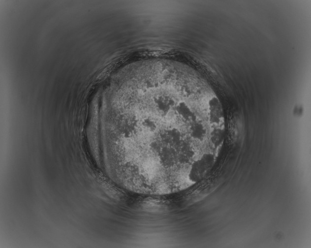 X0000090440657200708031155