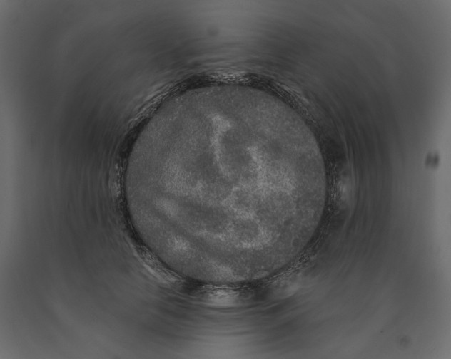 X0000090440658200708031155