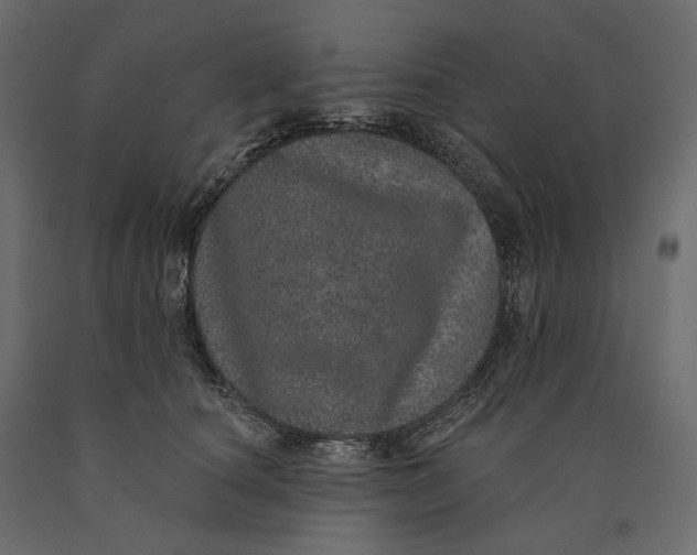 X0000090440660200708031155