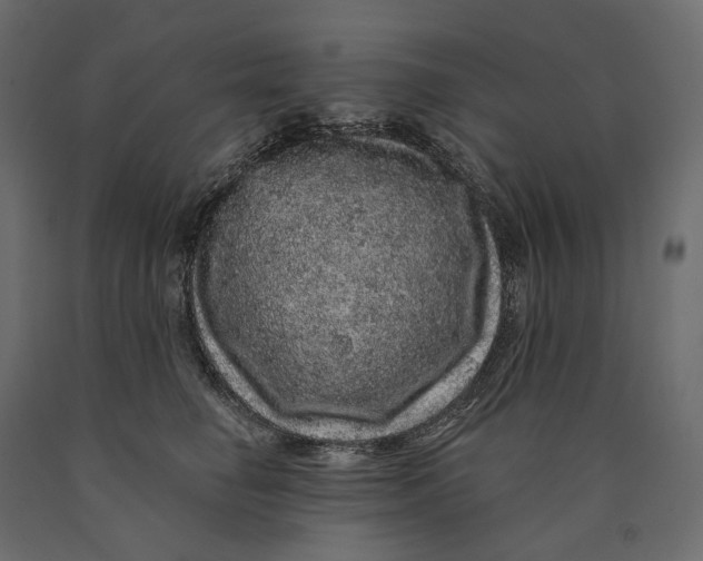 X0000090440662200708031155