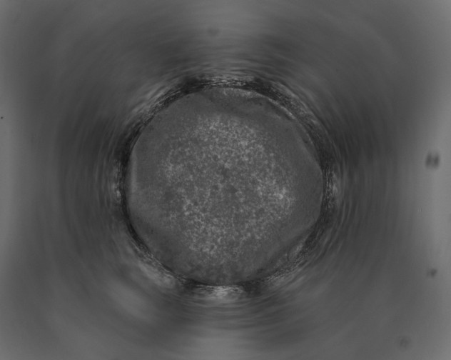 X0000090440663200708031155