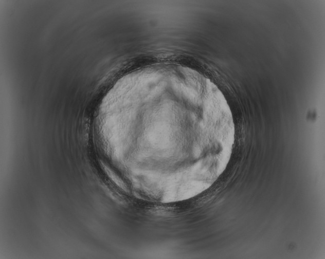 X0000090440664200708031155