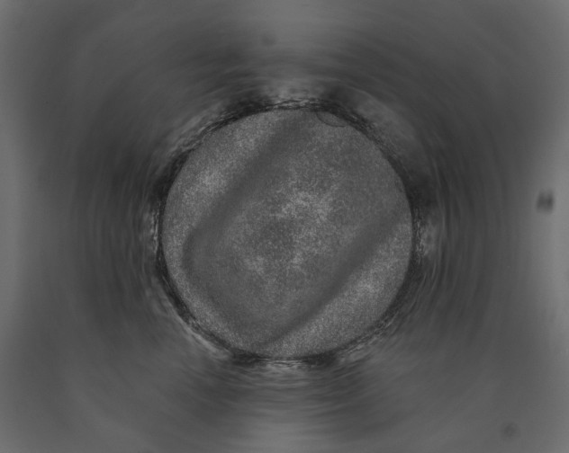 X0000090440666200708031155