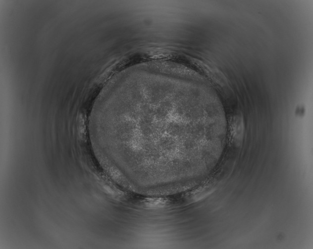 X0000090440667200708031155