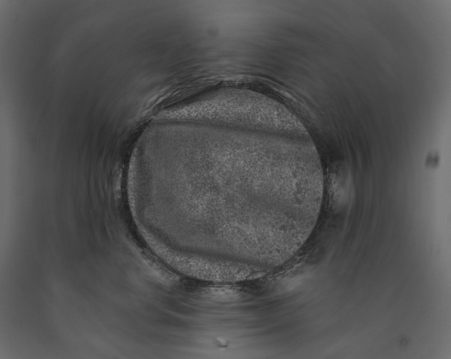 X0000090440668200708031155