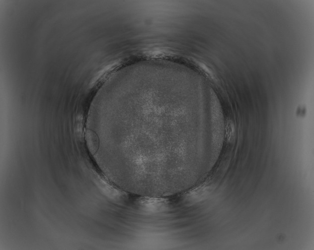 X0000090440670200708031155