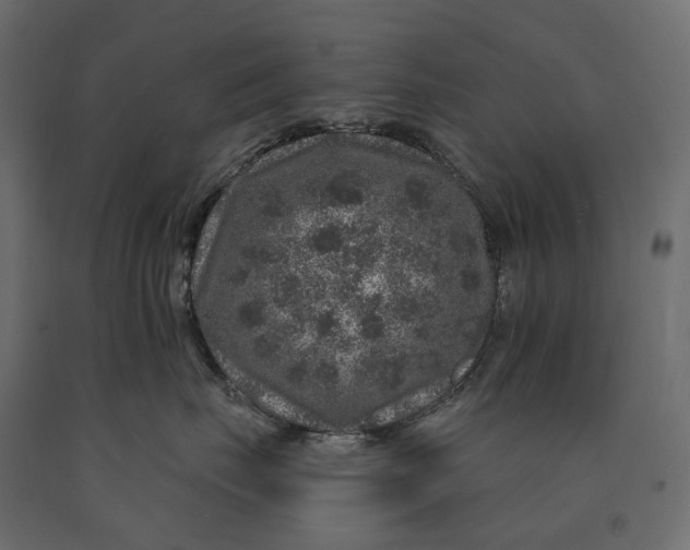 X0000090440671200708031155