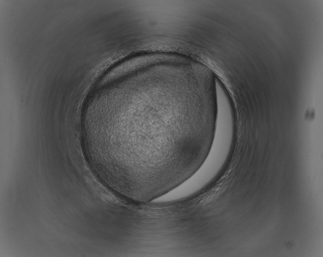 X0000090440673200708031154