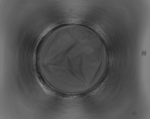 X0000090440674200708031154