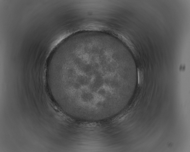 X0000090440675200708031154