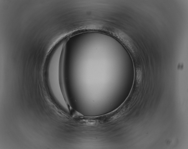 X0000090440676200708031154