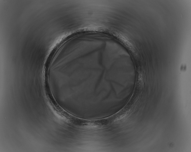 X0000090440678200708031154