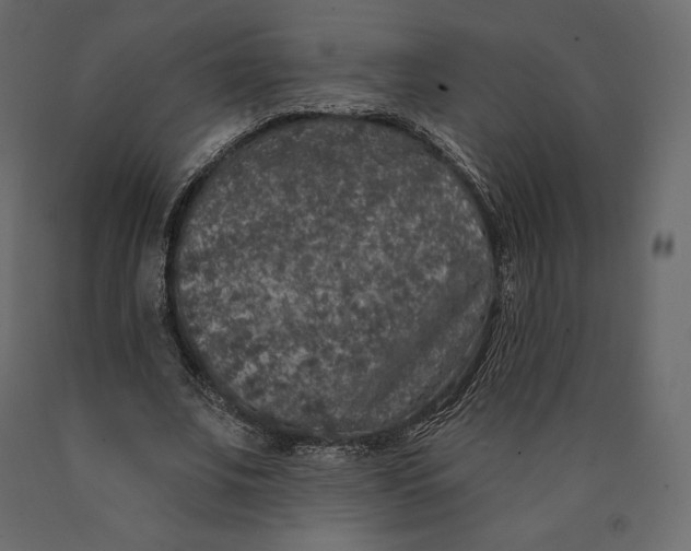 X0000090440679200708031154