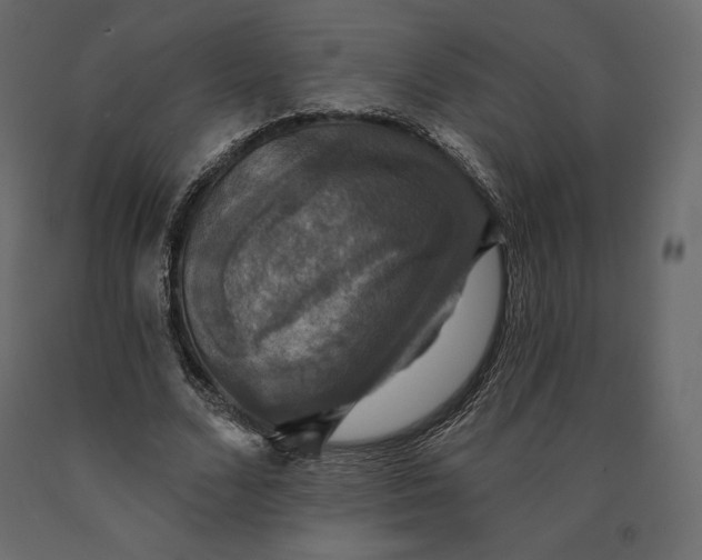 X0000090440680200708031154