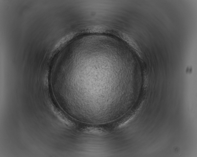 X0000090440681200708031154