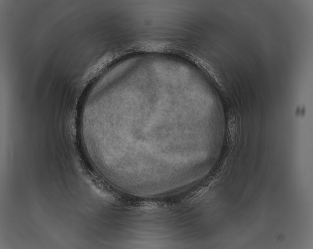 X0000090440682200708031154