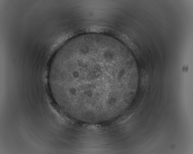 X0000090440683200708031154