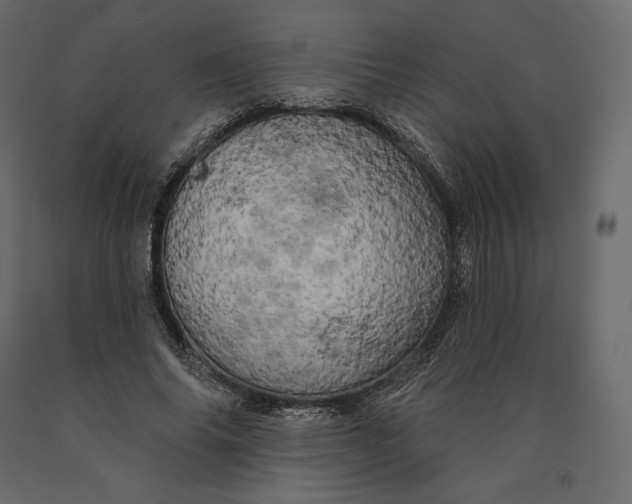 X0000090440686200708031154