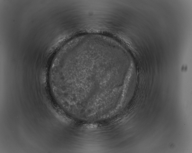 X0000090440687200708031154