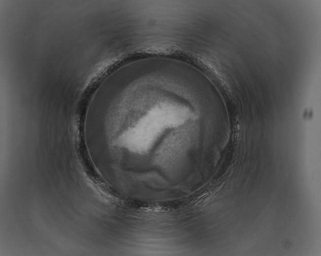 X0000090440688200708031154