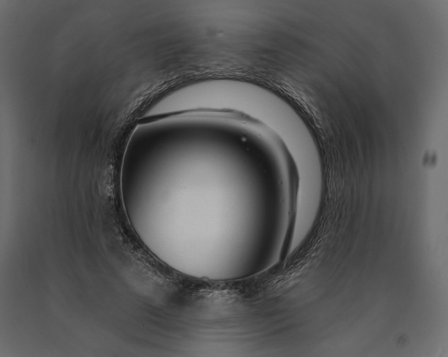 X0000090440689200708031154