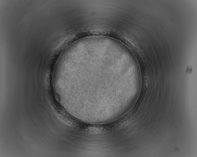 X0000090440690200708031154