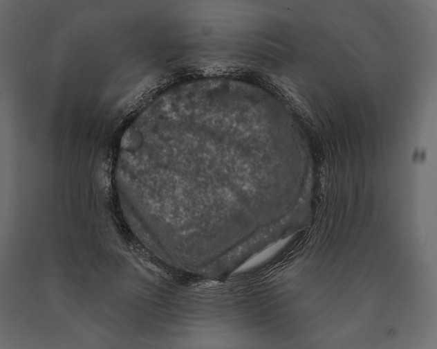 X0000090440691200708031154