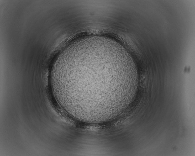 X0000090440694200708031154