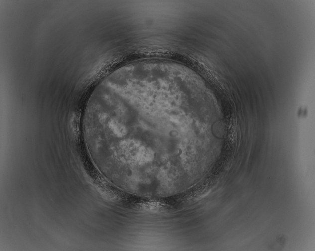 X0000090440695200708031154