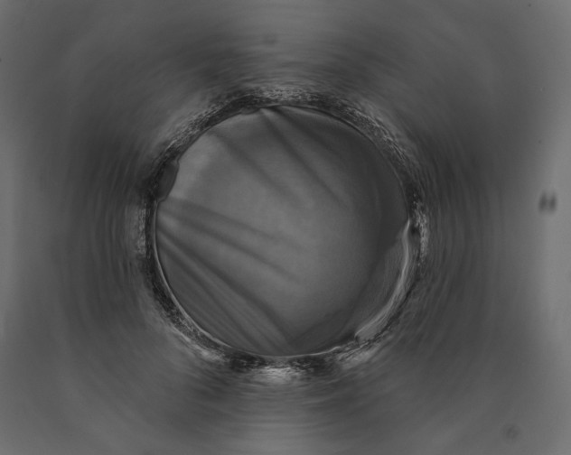 X0000090440696200708031154