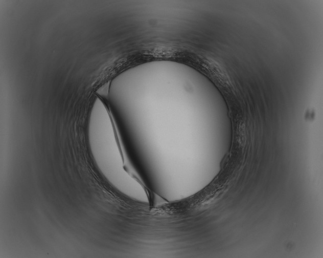 X0000090440697200708031154