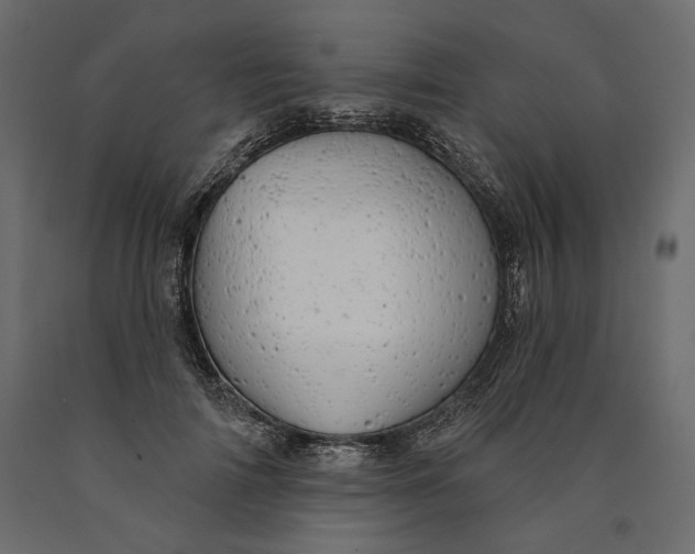 X0000090440698200708031154