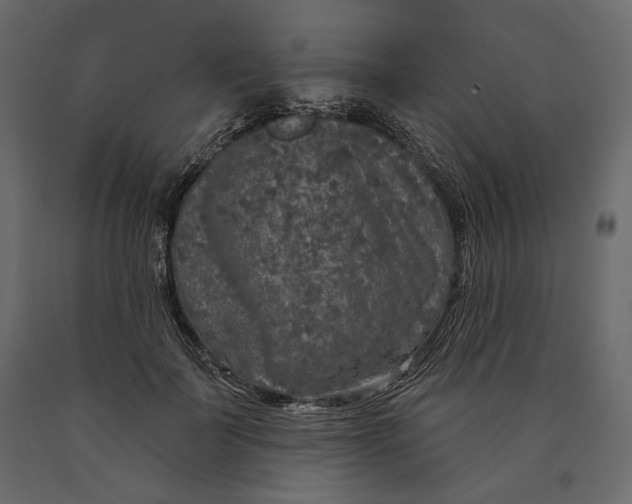 X0000090440699200708031154