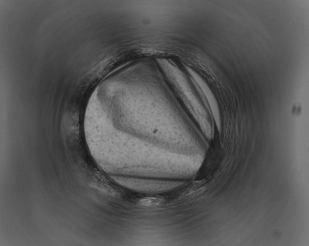 X0000090440700200708031154