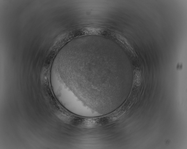 X0000090440701200708031154