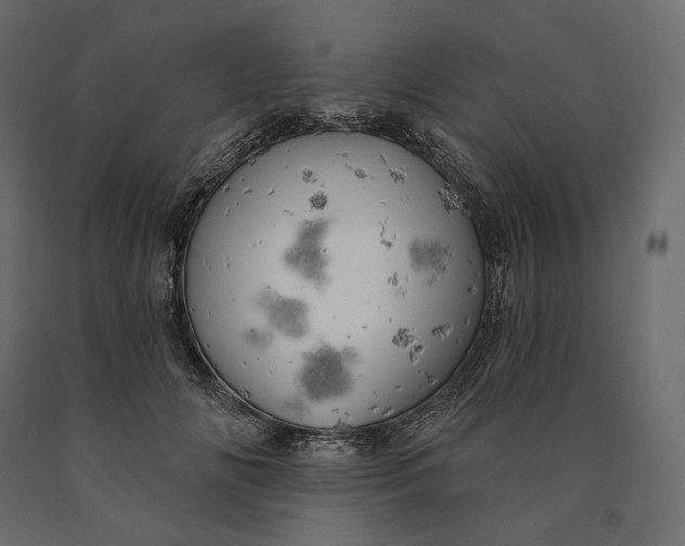 X0000090440702200708031154