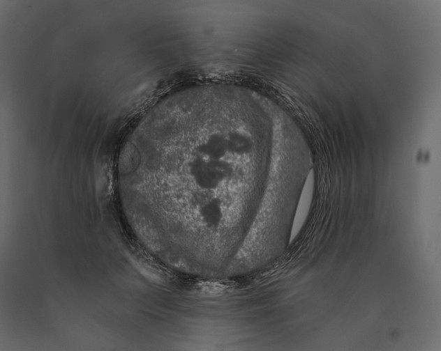 X0000090440703200708031154