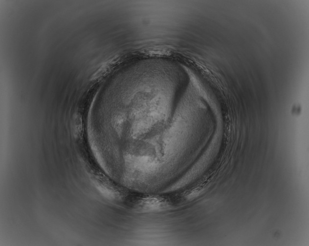 X0000090440704200708031154