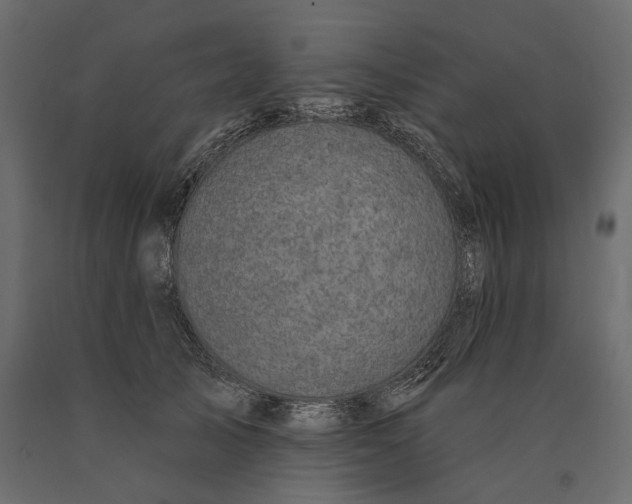 X0000090440705200708031154