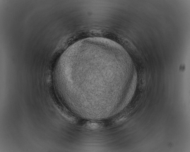 X0000090440706200708031154