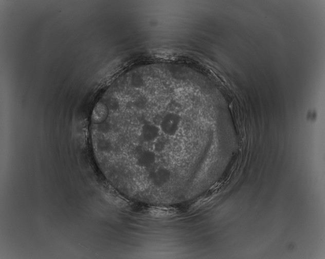 X0000090440707200708031154