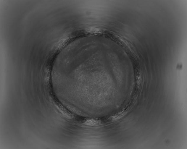 X0000090440708200708031154