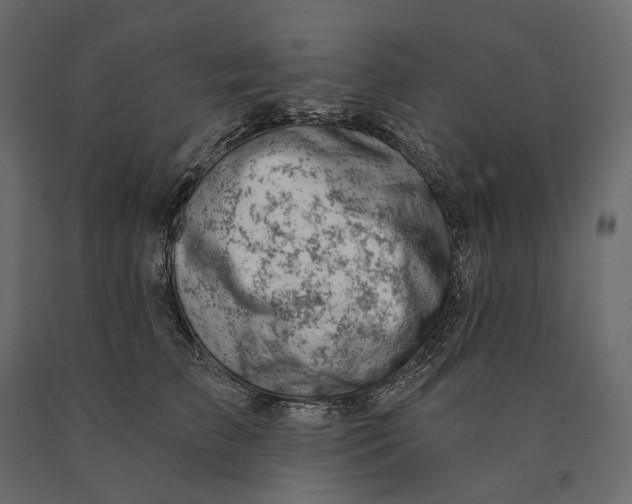 X0000090440709200708031154