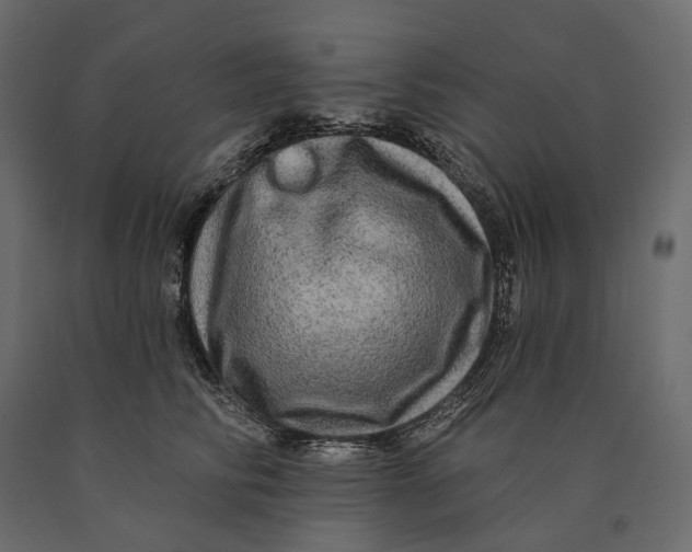 X0000090440710200708031154