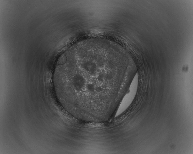 X0000090440711200708031154