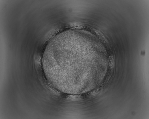 X0000090440713200708031154