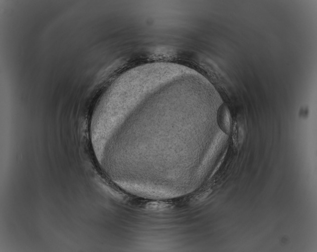 X0000090440714200708031154