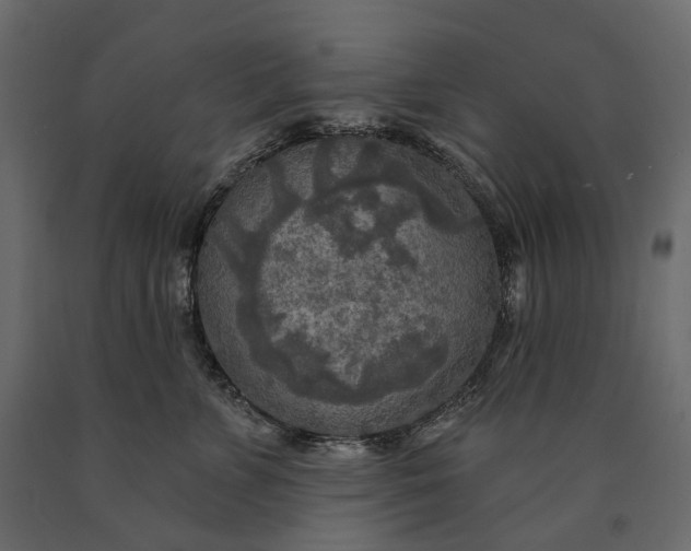 X0000090440715200708031154